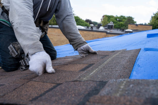 Best Roof Waterproofing Services  in Poseyville, IN